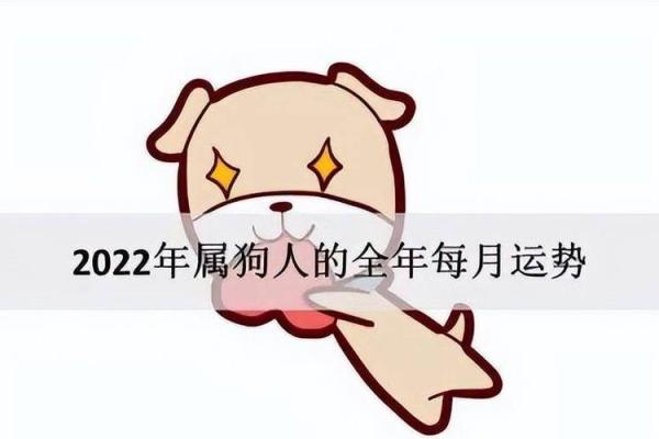 2023年属狗人命理分析:缺什么颜色,如何提升运势? 2023年属狗人命理分析:缺什么颜色,如何提升运势?