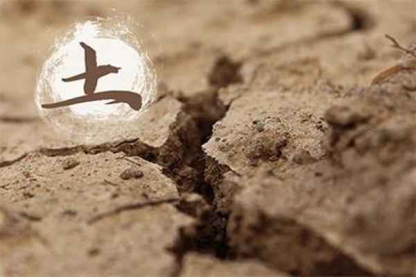 沙中土命适合的专业与职业发展探索