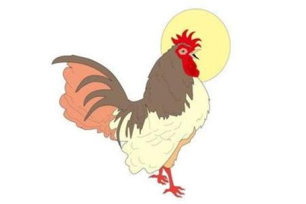 属鸡女性的命运解析：哪些命更好？如何迎接美好未来？