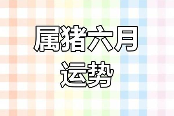 属猪的木命人适合戴什么饰品？探索命理与运势的秘密！