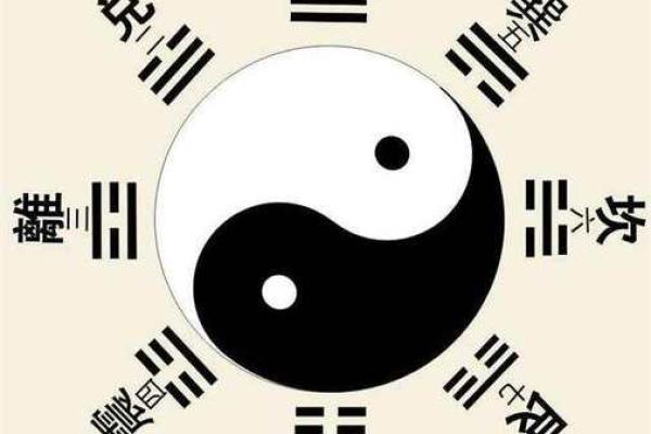 11月13日命理揭秘：天生的挑战与机遇，揭示生命的奥秘与未来的方向