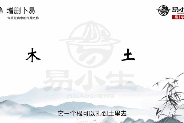 93年腊月属鸡的命运解析：五行与人生的交汇点