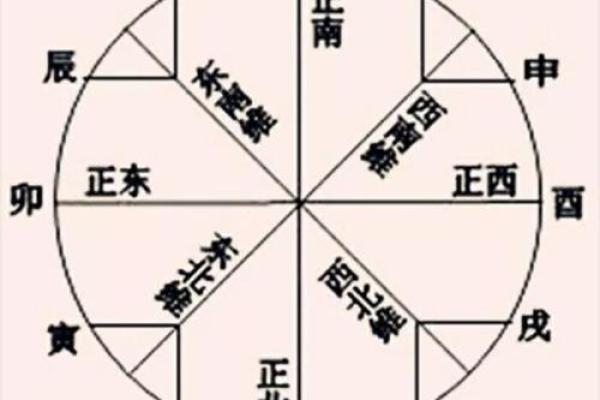 93年腊月属鸡的命运解析：五行与人生的交汇点