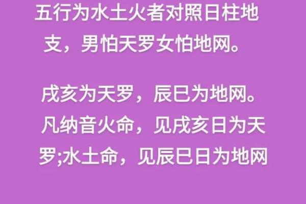 08年出生的人：火命与土命的命理解析与运势探讨