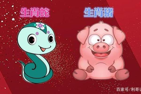 属蛇木命与哪些命最合财？探寻最佳合作配对！