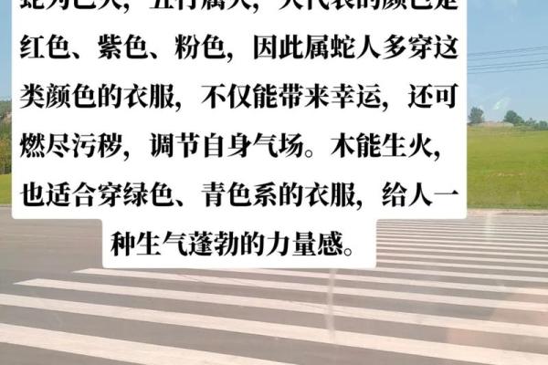 属蛇木命与哪些命最合财？探寻最佳合作配对！