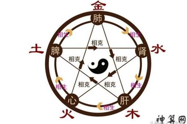 平地木命的五行喜好及其生活智慧探讨