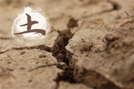 沙中土命适合的专业与职业发展探索