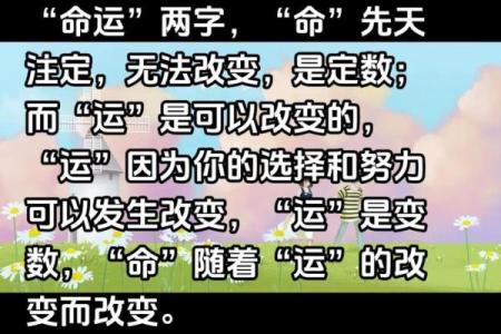 27岁是什么命：探寻年轻人心中的命运和未来