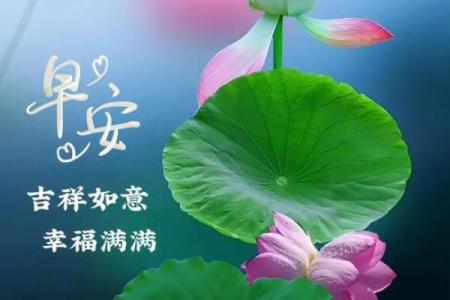 女命太阳旺象征的吉祥与人生机遇