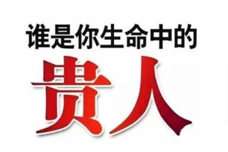 11月13日命理揭秘：天生的挑战与机遇，揭示生命的奥秘与未来的方向