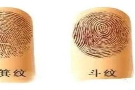 手指上的神秘图案：圈的命运与解读