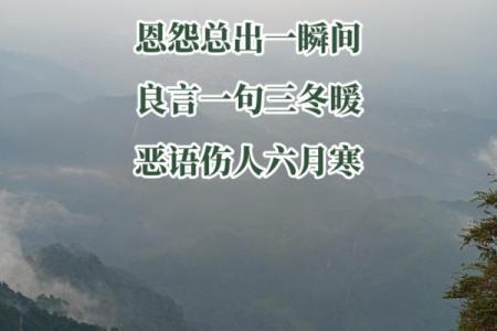 38岁属水命的人生智慧与运势探秘