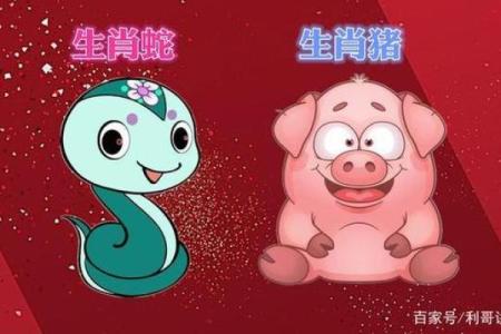 属蛇木命与哪些命最合财？探寻最佳合作配对！