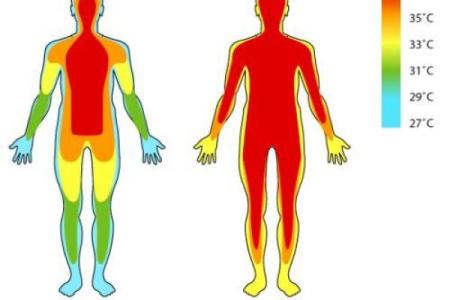 怕冷又怕热是什么命，探索命理背后的秘密