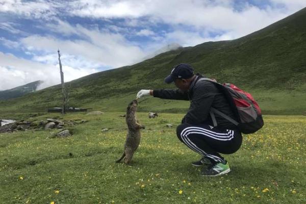 探秘1953年属相及其命运解析：木蛇的独特人生旅程