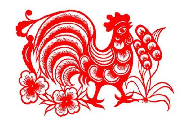 49岁属什么生肖，命理解析与人生智慧分享