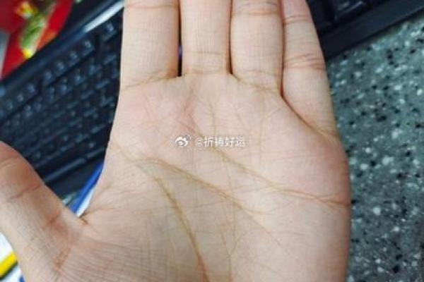 手掌粉白色的秘密：探秘你的命运与未来