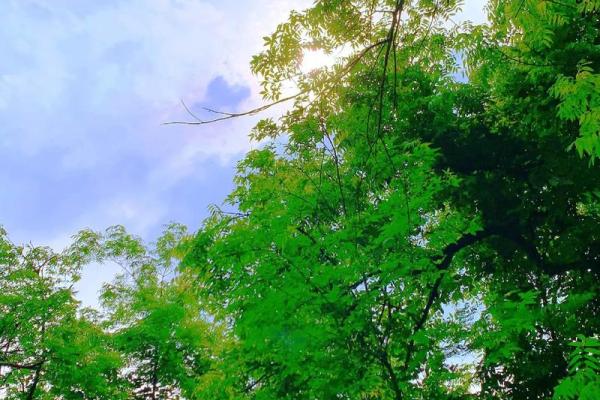 你相信命运吗？信仰与行动的微妙关系