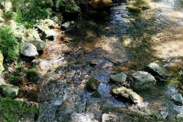 水命与何命最相配，打造和谐美好的生活