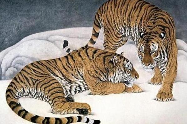 属虎松柏木命与最佳命格，大揭秘！