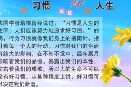 沙中土命：深埋于沙中的生命力量与命运解析