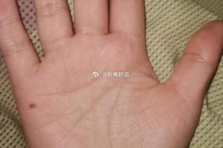 手掌粉白色的秘密：探秘你的命运与未来