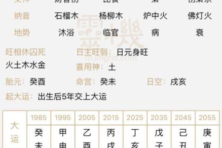 壬午癸未命的理想葬向与风水解读