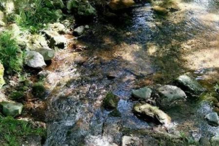 水命与何命最相配，打造和谐美好的生活