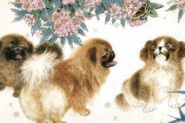 七零年女属狗的命运揭秘：走向逆袭的财富与幸福之路