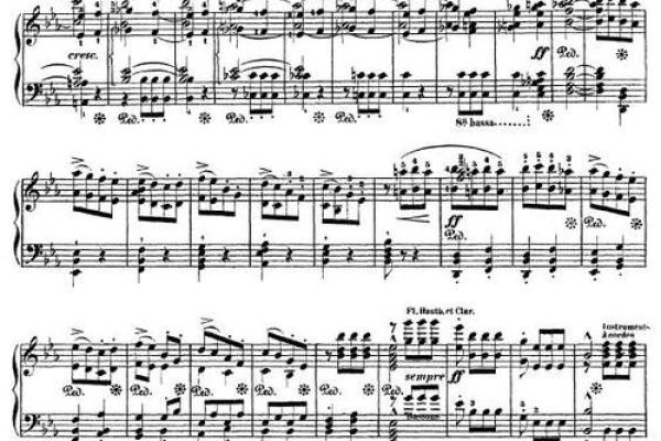 2003年617出生的命运探秘：运势与人生的交响曲