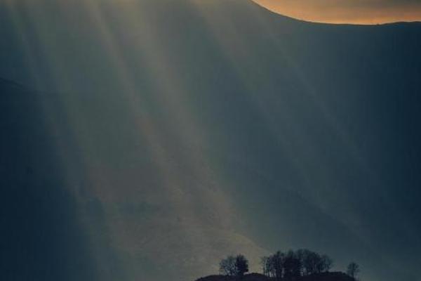 57年出生的鸡：命运与人生的探索之旅