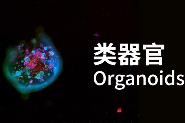 如果你问我什么是命：探寻生命的秘密与意义