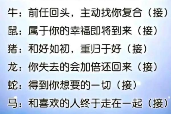 探索58年属狗人的命运与性格解析