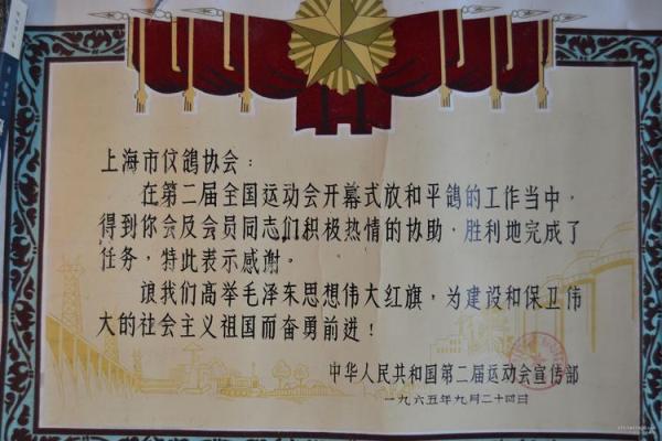 2001年属于金命的一切:揭示生命中的光辉与挑战 2001年属于金命的一切:揭示生命中的光辉与挑战