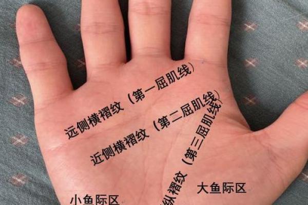 双手真断掌的命运解析：揭示人生潜力与性格特征