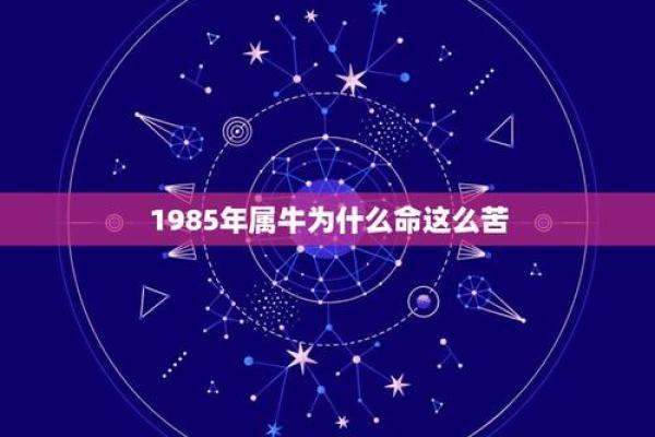73年属牛人的命运解析：寻找人生的智慧与幸福