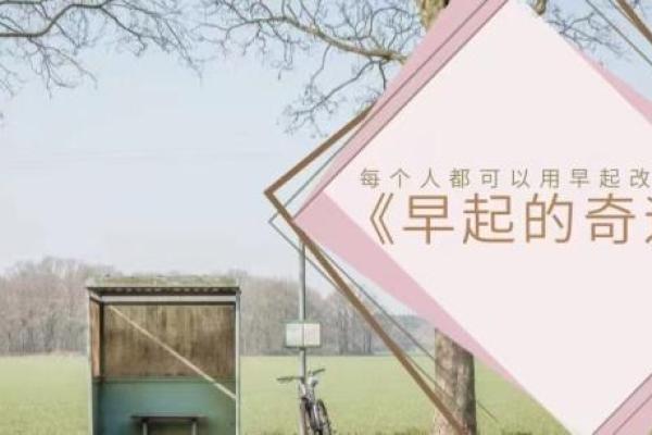 2011年惊艳的奇迹:那一年改变人生的启示 2011年惊艳的奇迹:那一年改变人生的启示