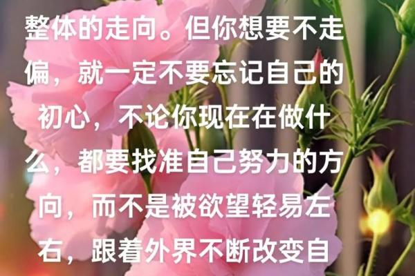 11点38分出生，揭示你的命理特征与人生走向