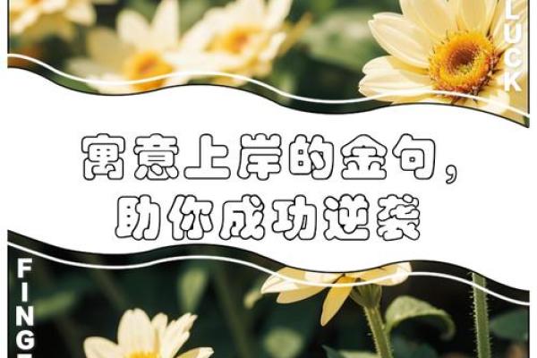 沙中土命的神秘与潜力：如何发挥其优势助你成功