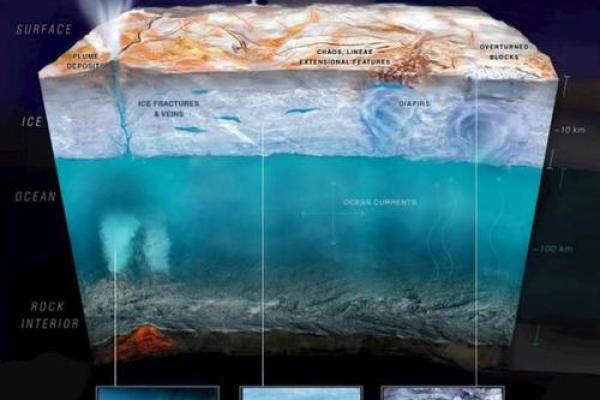 探索1984年的骨命:人生旅程中的能量与潜力 探索1984年的骨命:人生旅程中的能量与潜力