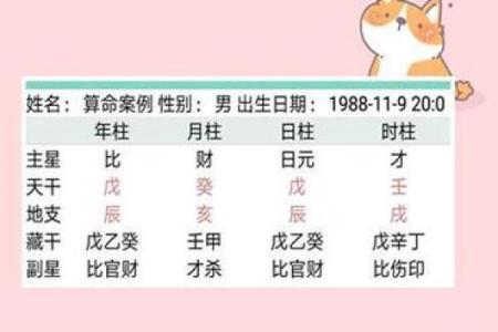1994年出生的人命理分析：个性与运势的秘密解读