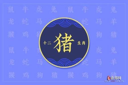 2019年属什么命？解密生肖猪的性格与命运轨迹