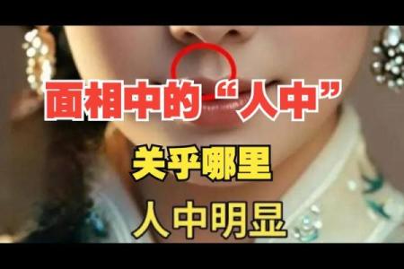 人中深长，究竟是什么命？探秘面相学的奥秘与人生轨迹