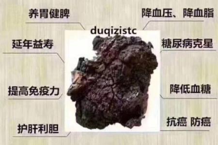 什么是富贵病？探讨富贵病与娇贵命的关系