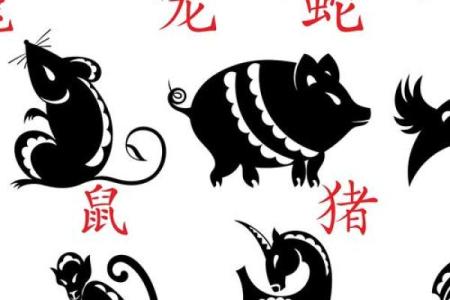 2022虎年生于哪个月份，命运如何？探究十二月份的不同性格与特点
