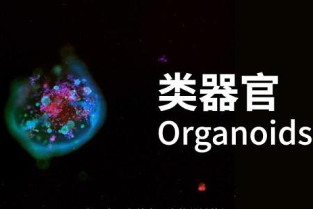 如果你问我什么是命：探寻生命的秘密与意义