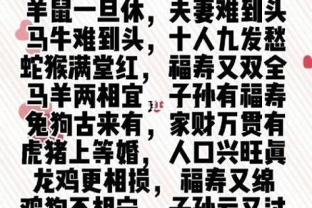 94年山头火命与生肖最佳配对，揭秘和谐人生的秘密