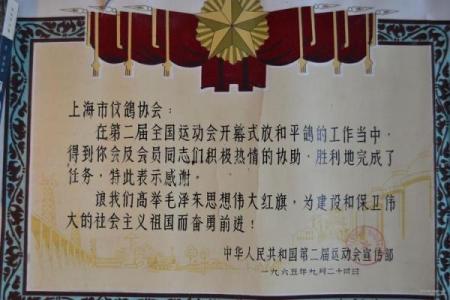 2001年属于金命的一切：揭示生命中的光辉与挑战