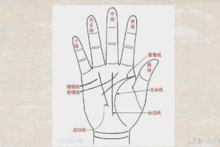 探秘手相：断掌代表的命格与人生轨迹
